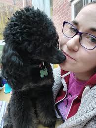 What kind of stimulation activities can I do for my deaf dog?