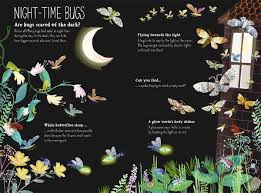 The Big Book Of Bugs Yuval Zommer 9780500650677 Amazon Com Books Scared Of The Dark Night Time Big Book