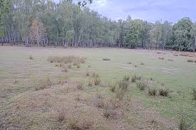 Livu ifsa porno accessible place for incall thats a