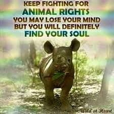Happy World Animal Day Animal Rights Quotes Animal Activist Animal Quotes