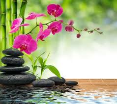 Zen Art 젠 아트 Jen Ateu 禪藝術 Chan Yishu 禅アート Zen Ato Zen Urlag Zen Urlag Peinture Zen Fond Ecran Zen Fond D Ecran Orchidee