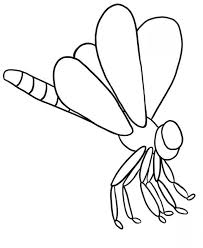 500x386 how to draw a. Dragonfly Coloring Page Coloring Home
