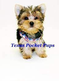 Pin On Web Pixer
