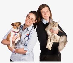 Have tons of fun running your very own pet vet clinic. Our Partnering Vets Are Professional Experts In Pet Pets And People Png Transparent Png 1300x783 Free Download On Nicepng