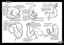 30+ anatomy drawing ideas | sky rye design. Muscular Female Drawing Reference Novocom Top