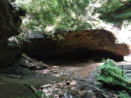 Maybe you would like to learn more about one of these? Mineral Springs Loop Trail 1 4 Miles In Hookstown Pa At Raccoon Creek State Park Hiking Nature Outdoors State Parks Trail Park