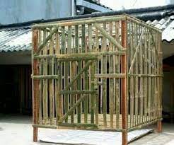 Dalam pembuatan sebuah kandang, model dari kandang itu sendiri harus disesuaikan dengan jumlah dan jenis ayam yang dipelihara. Kandang Ayam Bangkok Dari Bambu Kita