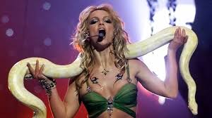 Image result for britney spears python