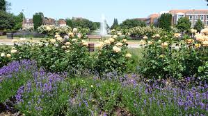 The Parkway Welwyn Garden City Hertfordshire July 2013 Beautiful Places To Visit Welwyn Beautiful Places
