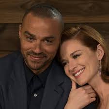 Grey's Anatomy': Sarah Drew Teases April and Jackson's 'Juicy' Reunion  (Exclusive)