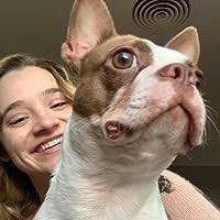 The Divine Sisters (Drama series Book 31) by Denise Boucher