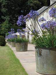 Fine Garden Ornament Fountains Planters 2014 Diy Backyard Landscaping Garden Planters Plants