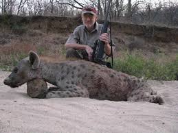 Zimbabwe Tuskless Elephant Buffalo Hunt More With Charlton Mccallum Safaris October 2017 Africahunting Com