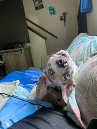 Go here for more recipes: 👇👇 https://buff.ly/3QpdPZU  https://buff.ly/3QpdPZU