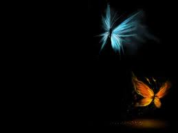 Find the fantastic collections of black butterfly wallpapers wallpapers with different black butterfly wallpapers backgrounds images for your windows, tablet black butterfly wallpapers. Black Butterfly Wallpapers Top Free Black Butterfly Backgrounds Wallpaperaccess