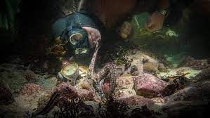 En él encuentra una hembra de pulpo que lo hechiza y surge una curiosa amistad. Mi Maestro El Pulpo 2020 Filmaffinity
