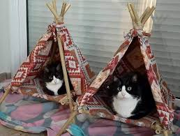 Maybe you would like to learn more about one of these? Diy Cat Teepee Tent 4 Steps Instructables