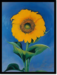 Sunflower 2 By Georgia O Keeffe In 2020 Georgia O Keefe Art Georgia O Keeffe O Keeffe Paintings