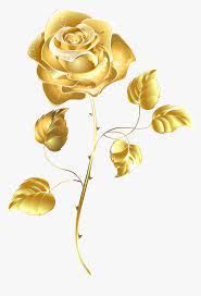 We did not find results for: Golden Rose Transparent Image Gold Flower Transparent Background Hd Png Download Kindpng