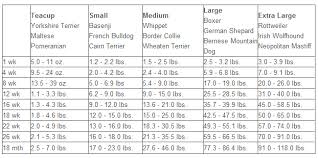 Dog Growth Months And Weight To Large Breed Dog