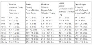 dog growth months and weight to large breed dog