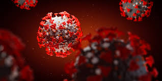 Update the fda has now approved safe, effective coronavirus vaccines for emergency use authorization in the united states. Covid 19 A History Of Coronavirus Lab Manager