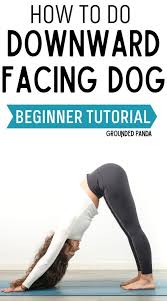 How To Do Downward Dog For Inflexible Beginners In 2020 Gym Workout For Beginners Workout For Beginners Yoga For Beginners
