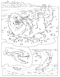 Discover our 1,500+ free adult coloring pages to download in pdf or to print : Picture Of Otters Coloring Home