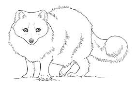 Pin By Tocolor On Artic Fox Coloring Pages Fox Coloring Page Animal Coloring Pages Puppy Coloring Pages