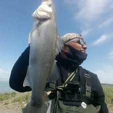 Seabass Fishing 2020 Avcilik