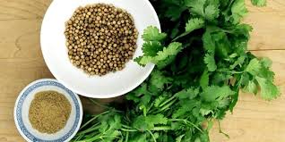 Check spelling or type a new query. 13 Manfaat Menakjubkan Makan Daun Ketumbar Untuk Kesehatan Merdeka Com