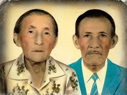 da pesquisa à exposição