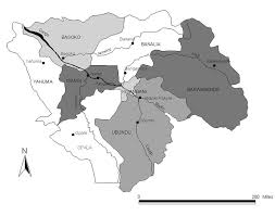 Image result for Raphidiocystis phyllocalyx