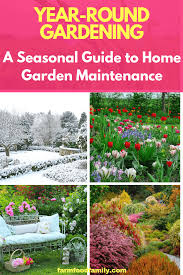 Garden maintenance now that you have your garden planted, you will want to keep it looking nice. Year Round Gardening A Seasonal Guide To Home Garden Maintenance Garden Maintenance Urban Farming Gardening Autumn Garden