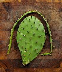 If you do it a few times a day the sore should heal. How To Clean Nopales Como Limpiar Nopales Video Hank Shaw
