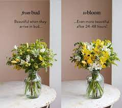 Whether if you're looking for a bouquet for the special someone on valentine's day or if you just want to show appreciation to your mom , teacher. Get A 23 Bloom Wild Mother S Day Bouquet For Free Savvy Dad