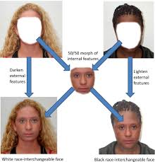 Check spelling or type a new query. Morph Two Faces Banjoz Com Free Morphing Online Application