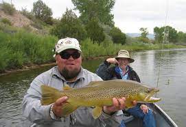 Spinner fall guide service is one of the green river's first recognized permit holders and has been an integral part of the utah fly fishing scene since 1986. Fly Fishing Green River Green River Fly Fishing Photos