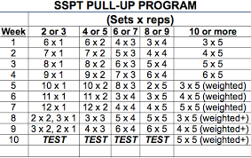 The Sspt Pull Up Program Usa Powerlifting Maryland