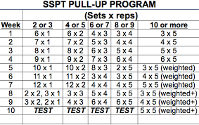 the sspt pull up program usa powerlifting maryland