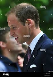 Tree planting canada hi-res stock photography and images