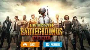 Download the gameloop 3.1 emulator and install the exe file on your computer via the download button above (or install through the game. From Pubg To Free Fire These Are The Top Downloaded Mobile Games Of 2019