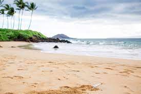 Best Places To Propose In Maui - Engaged on Maui | Maui Proposal  Photographer