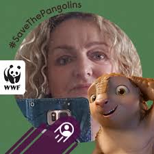 yesterday at 2.45 my best friend of 20 years went to rainbow bridge he was  a member of senior cat club. My heart is broken. Sleep well cutie see you  one day.