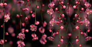 February 17, 2021 by admin. Best 43 Flowers Twitter Backgrounds On Hipwallpaper Twitter Wallpaper Vintage Twitter Backgrounds And Preppy Twitter Backgrounds