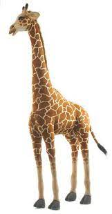 Pin On Giraffe Photographs And Design Products