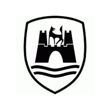 Vw Wolfsburg Logo Brandprofiles Com Vw Emblem Vw Tattoo Vw Art