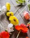 Amazon.com: Ramos de flores artificiales de amapola de maíz ...