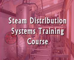 Steam Distribution Systems Training Course Pdf A Guide For Design Of Steam Systems Steam Training Courses System