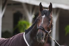 See Kentucky Derby winner Golden Tempo, trainer Cherie DeVaux